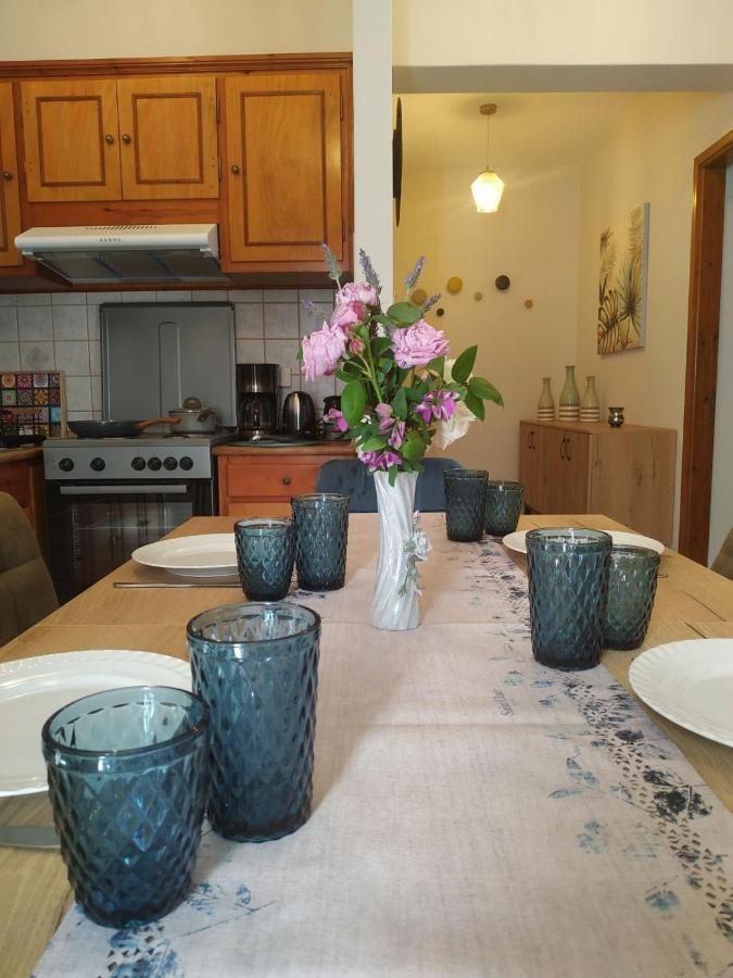 Anemone Bleu-Sea View-200M From Chora Pedestrian Apartment Andros Town Exterior photo